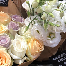 sofka (ft. the weeknd)