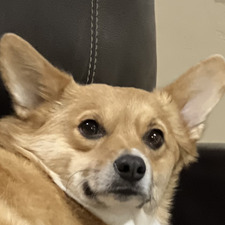 John