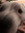 oodles of roobles