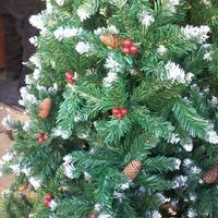 ნაძვისხეები ბინაზე მიტანით