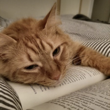 Mathilde Vestergaard