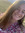 Eden Bevington