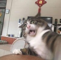 Жаргалмаа Бадрах