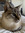 Spencer | 7 comments