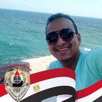 محمود الشناوي