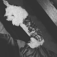 mady
