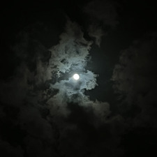 🌙