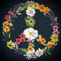 Kimberly Tomasetti Barry