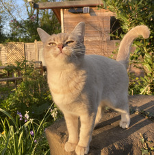 Lily :)