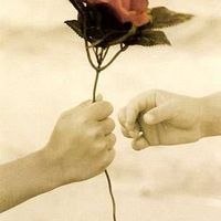 عايشه العثمان