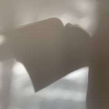 elisabetta (letturatura) 🐸