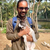 ম্যাথিও সরকার