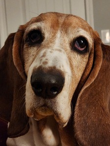 Christopher Whimpenny