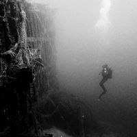 Dimitri Papadimitriou