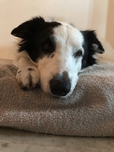 sandra