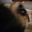 Em