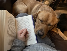 Stephanie Dennington 