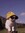 Misia
