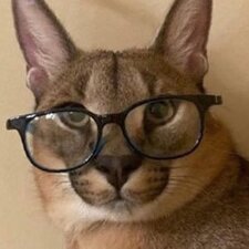 Християн Дончев