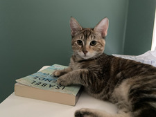 Eve Hollywood-Giertz