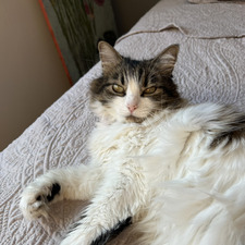 Sofia Fuentes-Miller