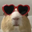KuniMiauMiau