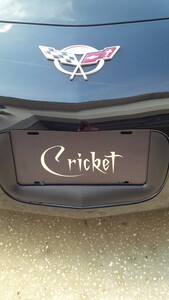 Cricket