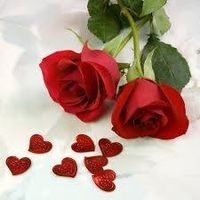 زهرة الحياة