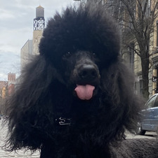 Rashelle Levandovsky