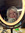 Dannie | 1 comments