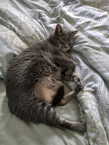 Lukas