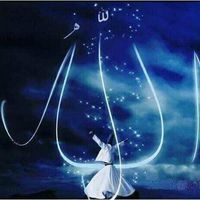 Nour Mohammed