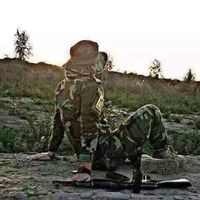 أمير البوادي