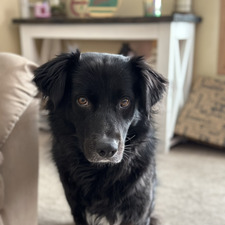 Quinn