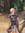 Sharyl