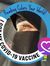Areej H...