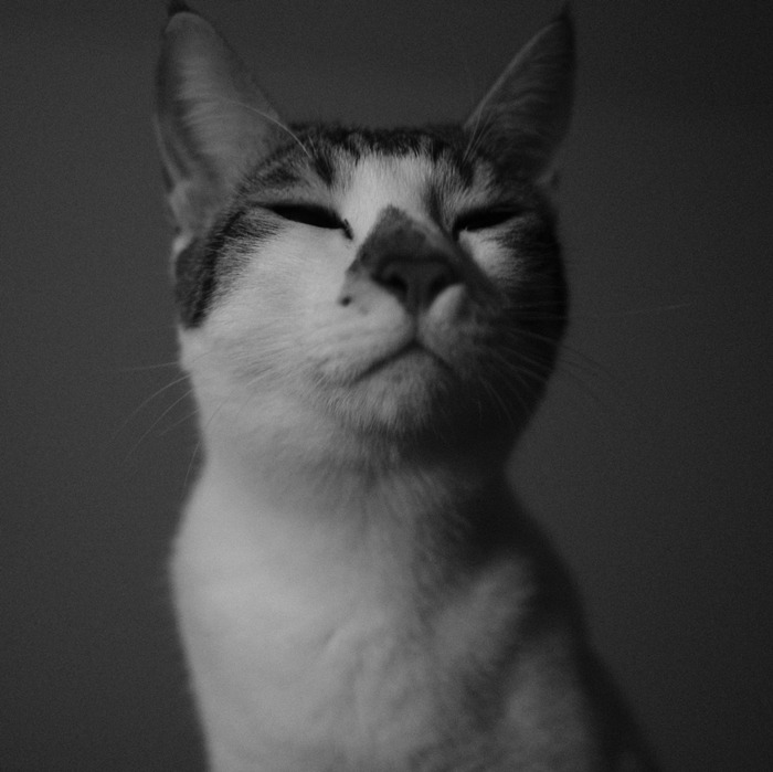 Goodreads profile picture for @harr