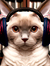 Annie