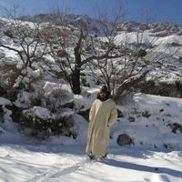 هاشم الهاشمي