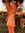 Jasmine Thomas | -1 comments