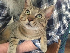 Mimi