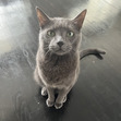 Ruth