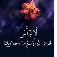 ندى رضا