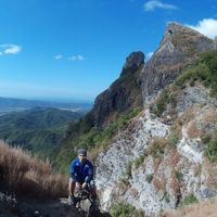 アルヴィー 集中と抑制