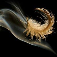 إياد الحمداني