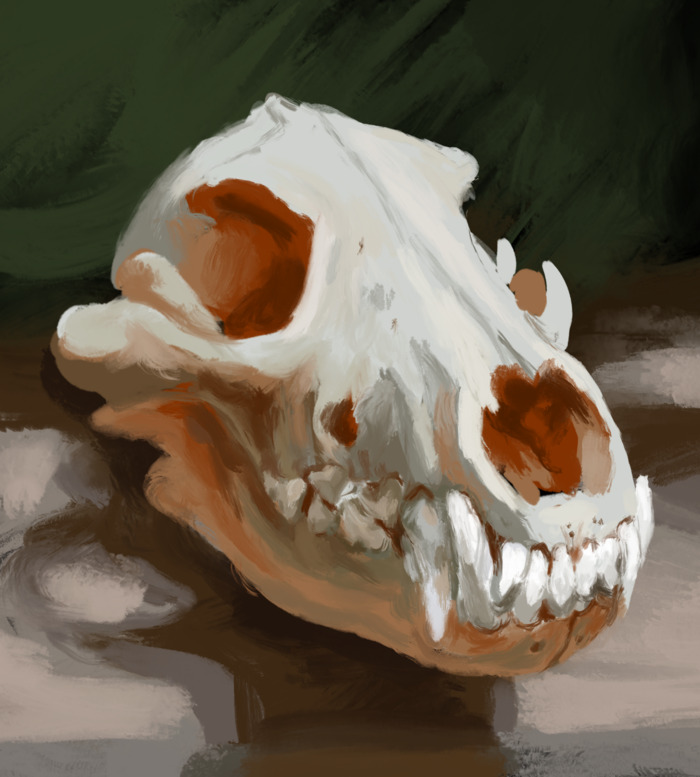 Goodreads profile picture for @snarl