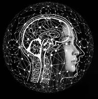 د.محمد صلاح