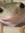 member photo member photo