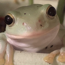 reading instead of sleeping