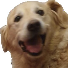 Tobel Reads (Sometimes)